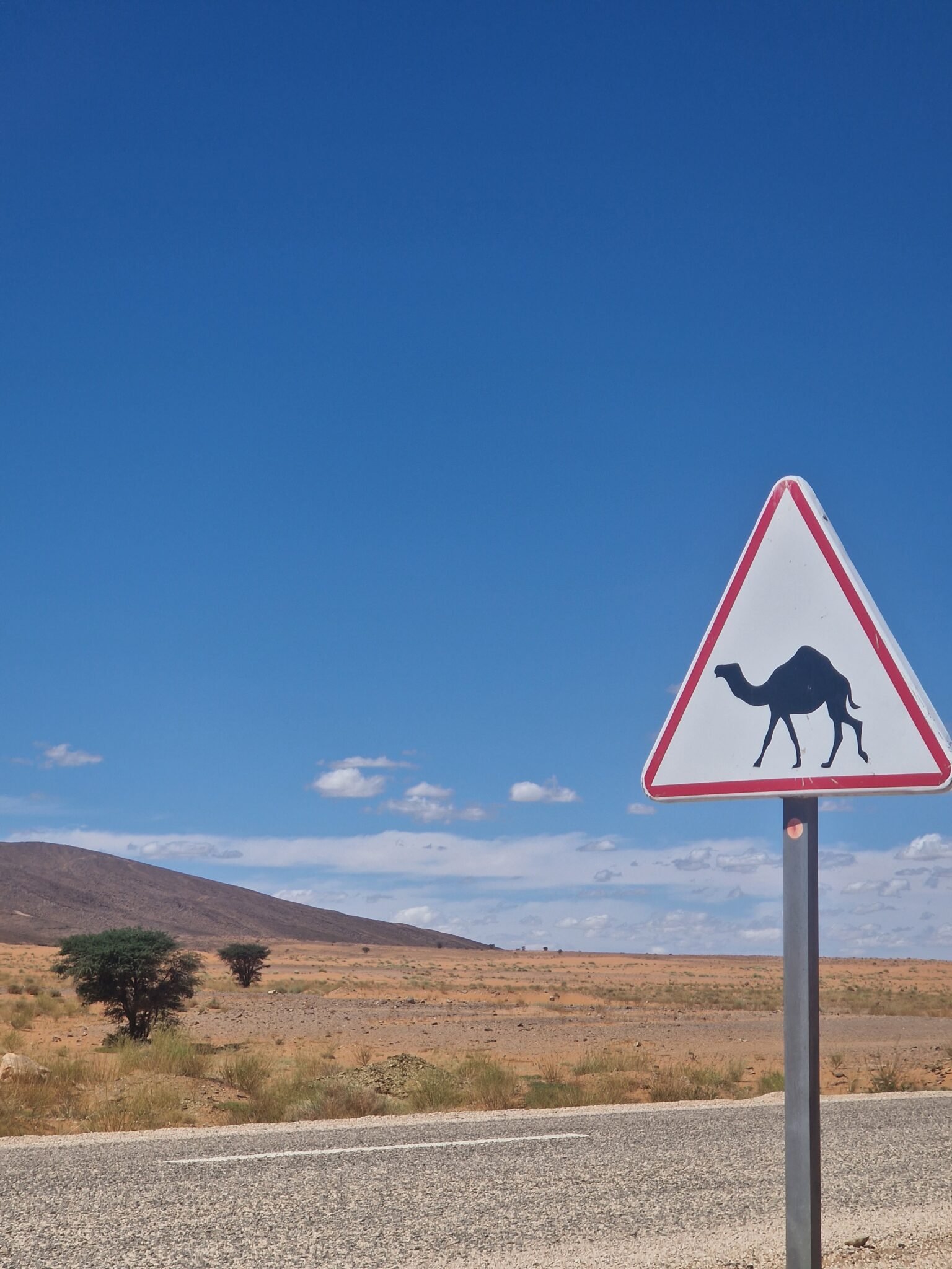 Home 20250414 145820