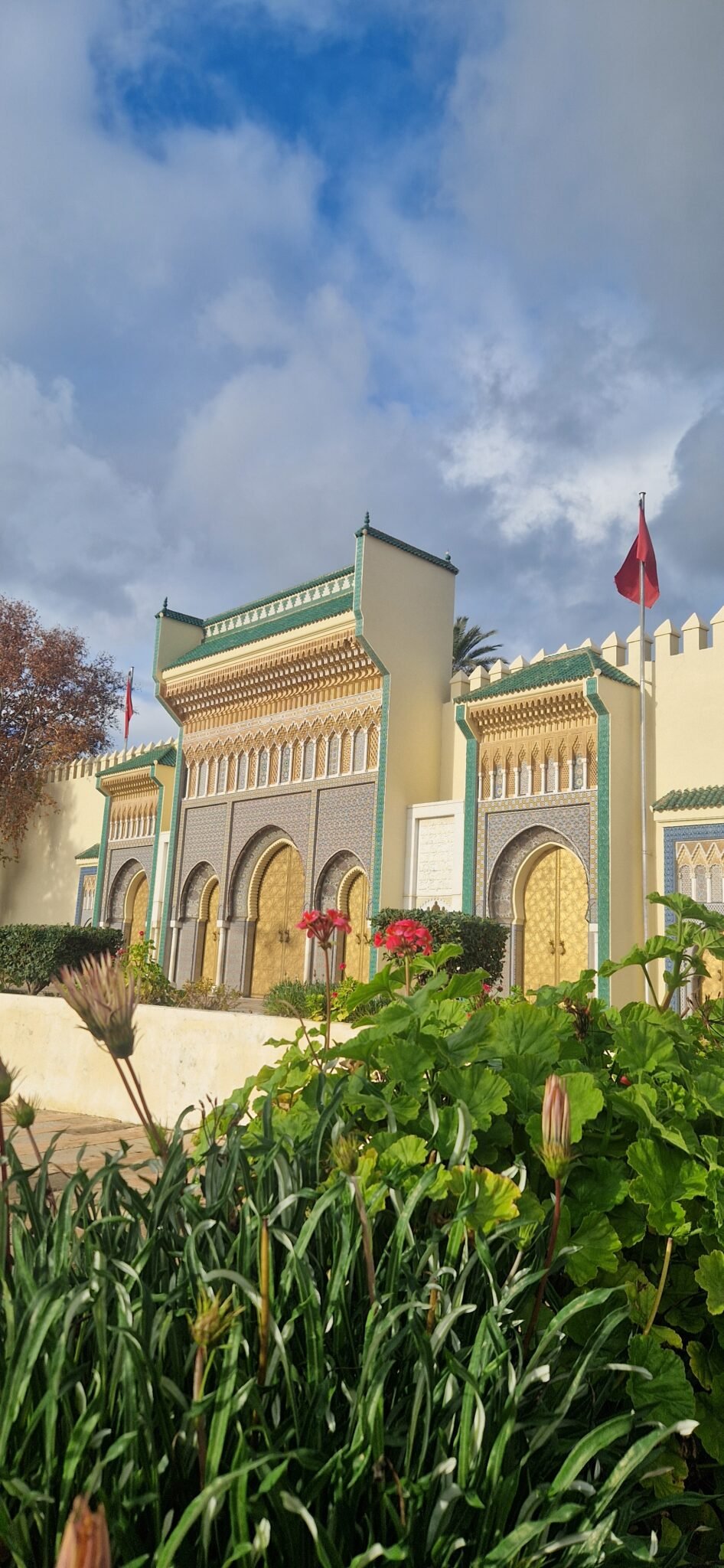 Home 20260114 170044