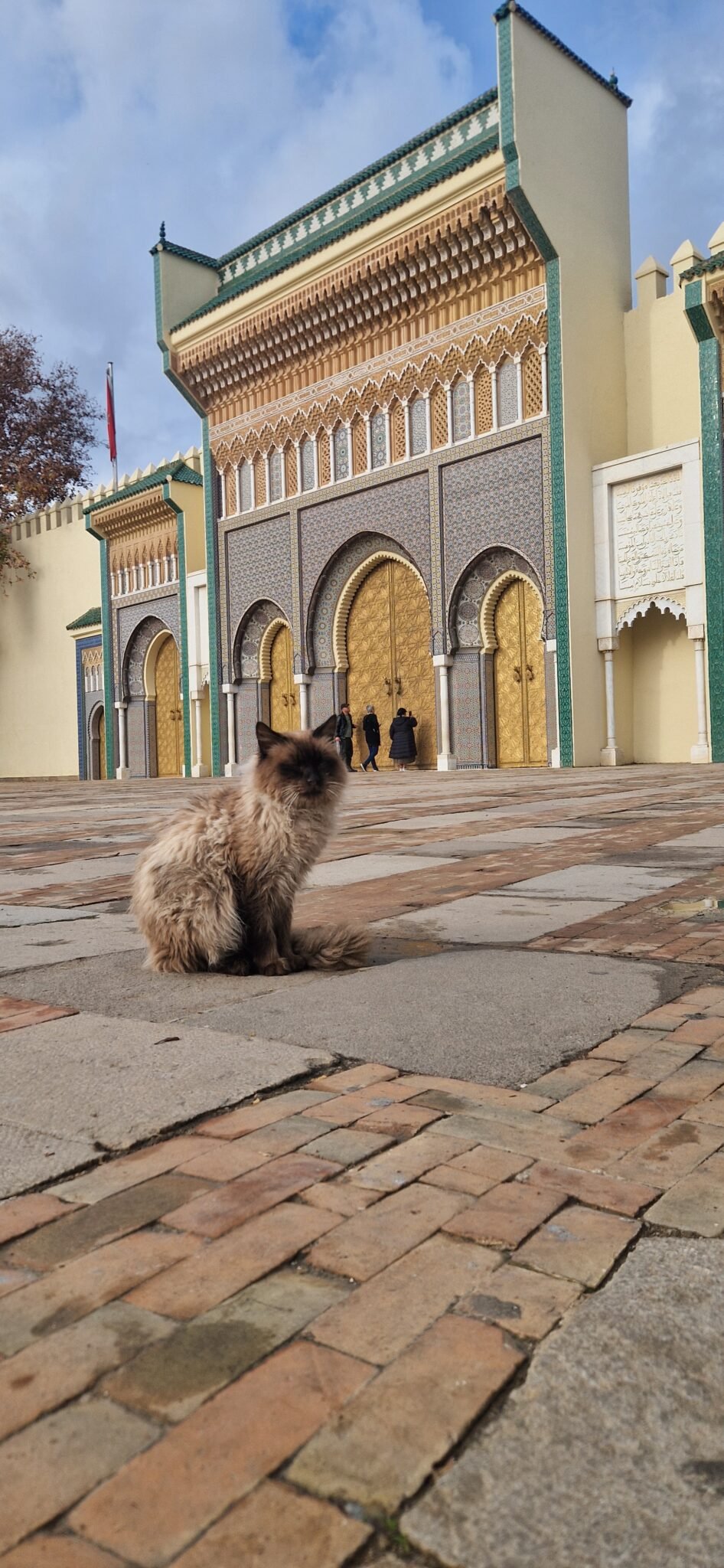 Home 20260114 170445