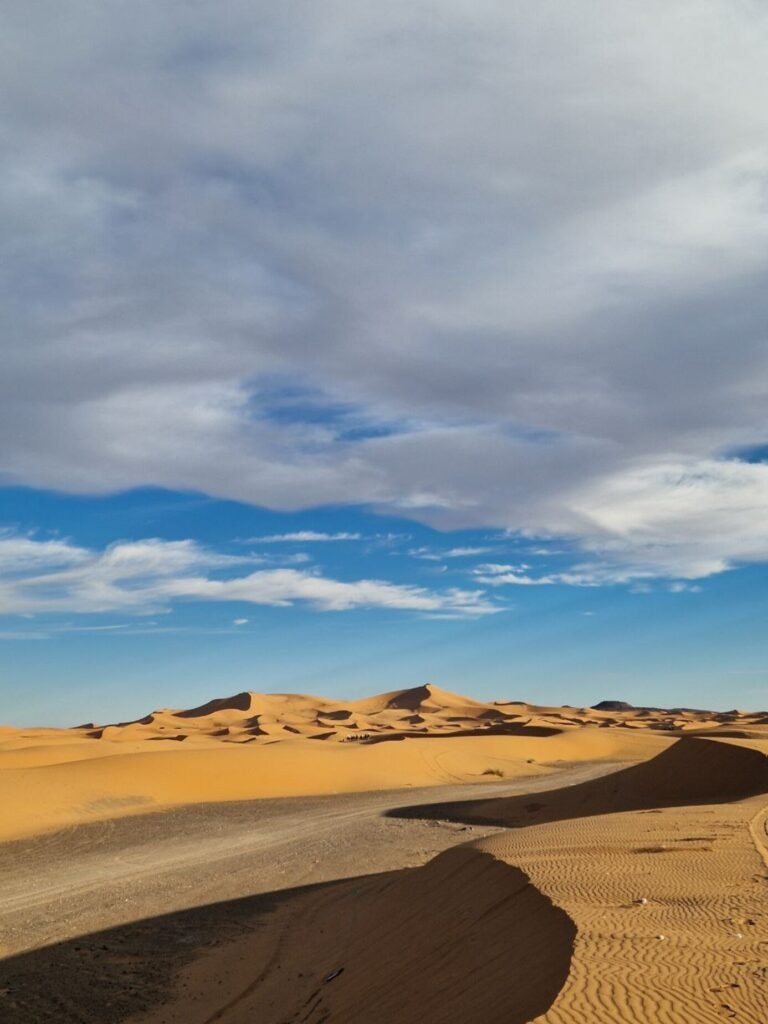 photo 5961048688979282847 y (1)