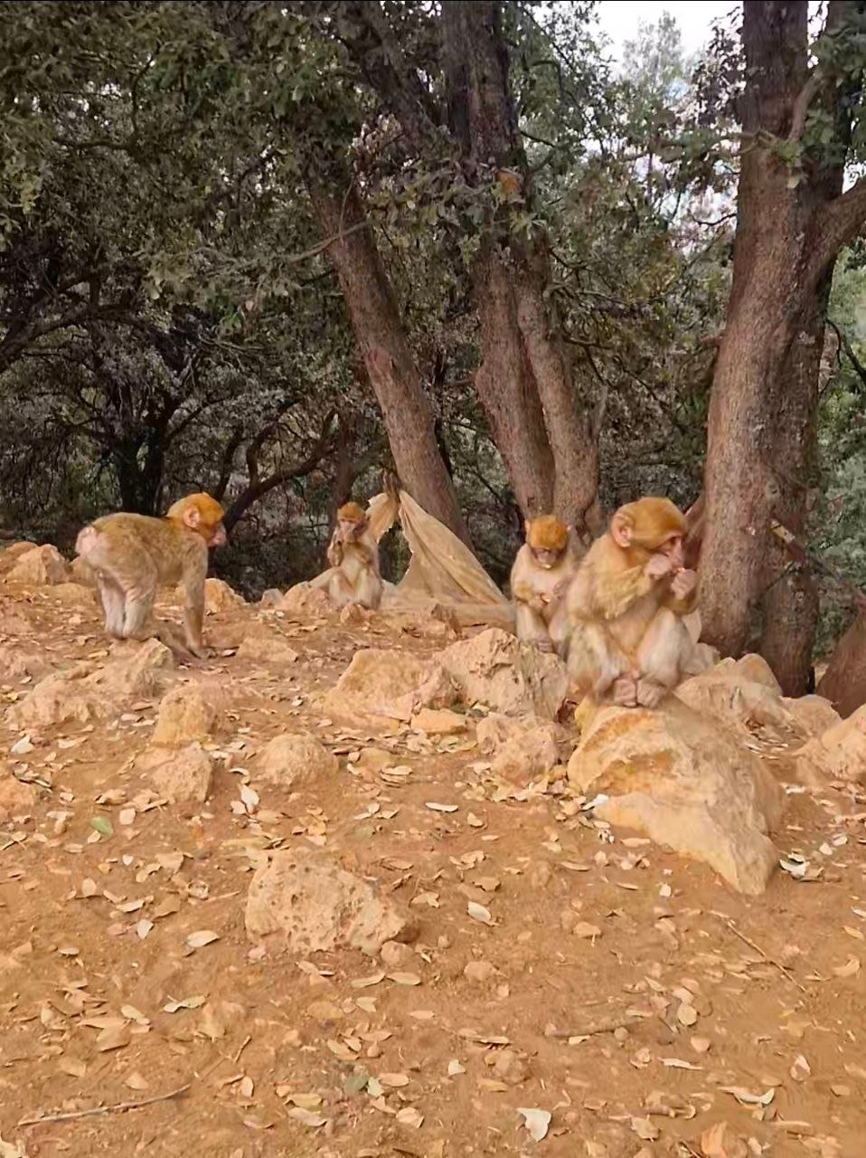 Home photo 6019142751632427850 y