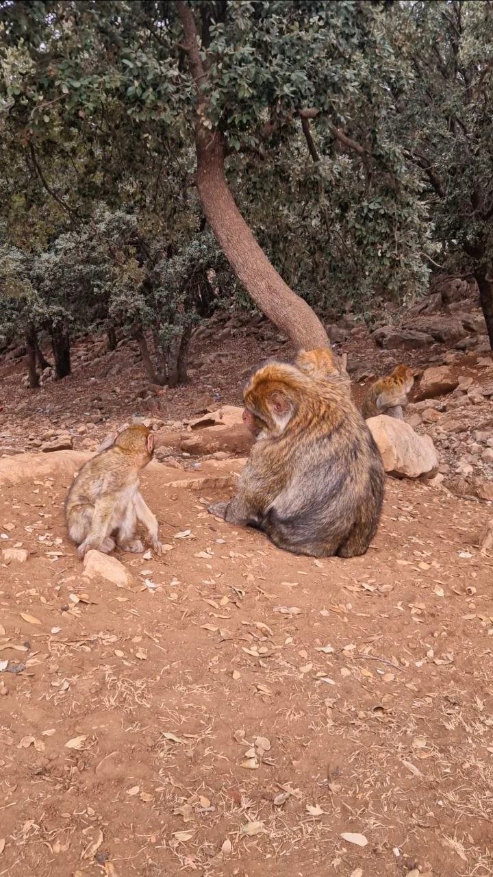 Home photo 6019142751632427851 y