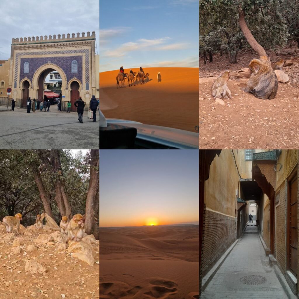 photo 6037192214254914832 y