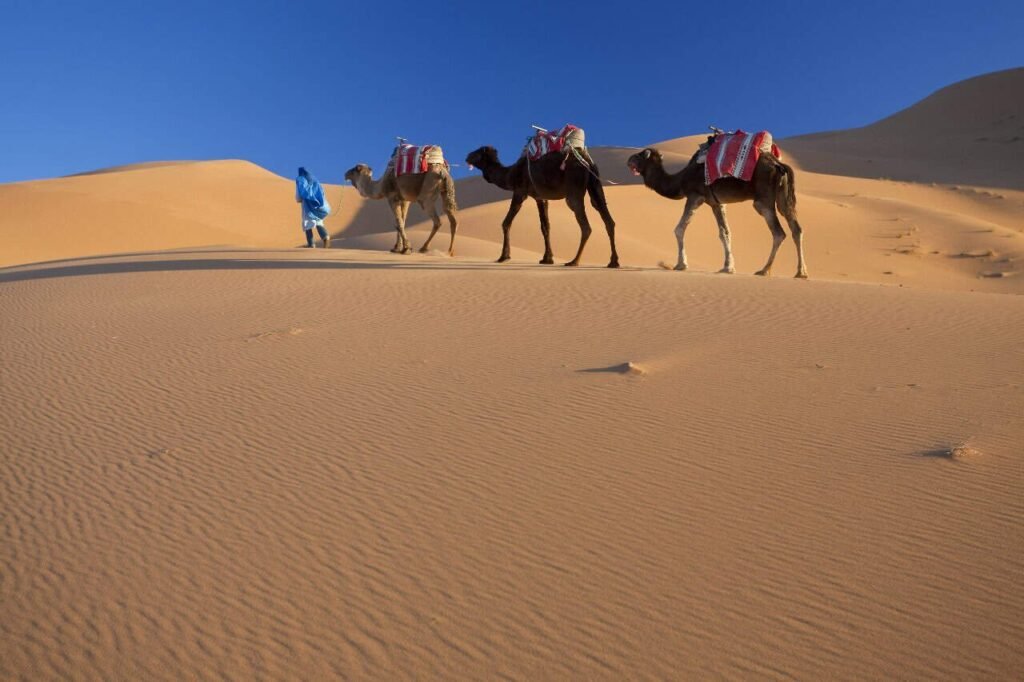 5 days marrakech travel plan.jpg