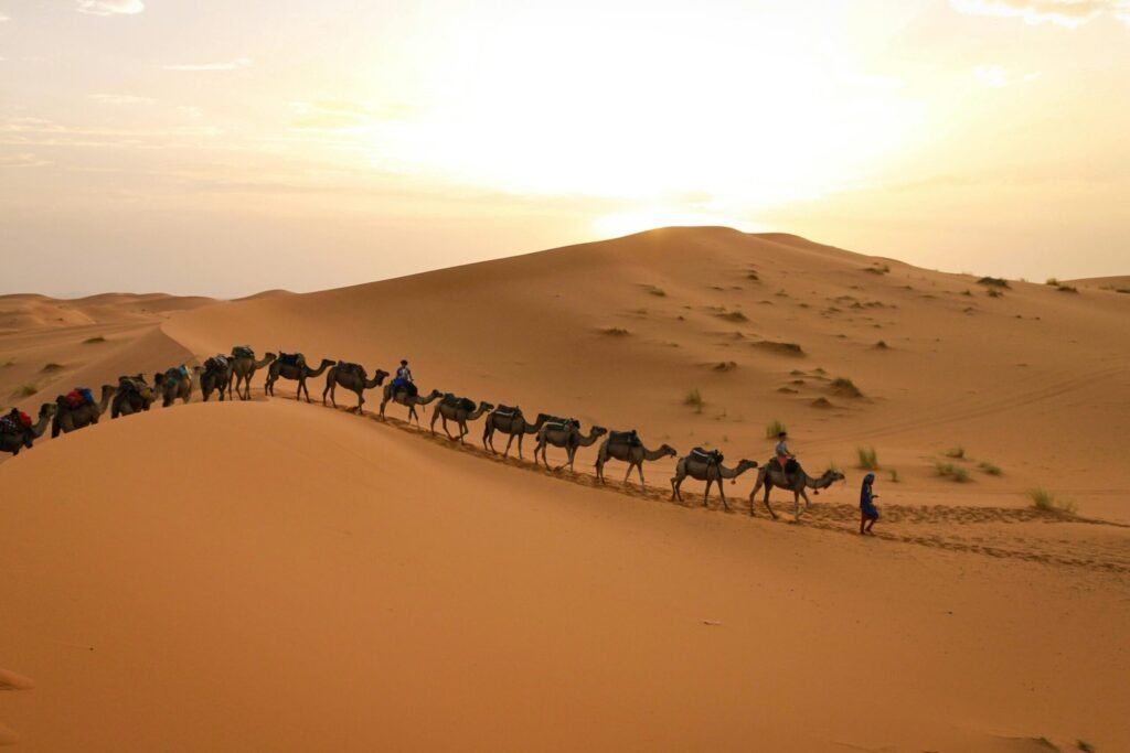 7 days tangier to marrakech desert tour scaled.jpg